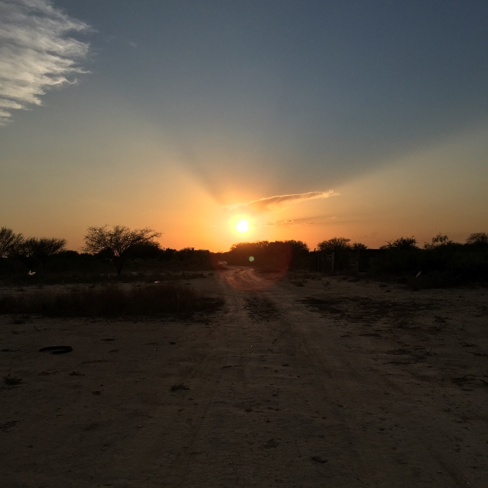 Meet your Posher, Marlene